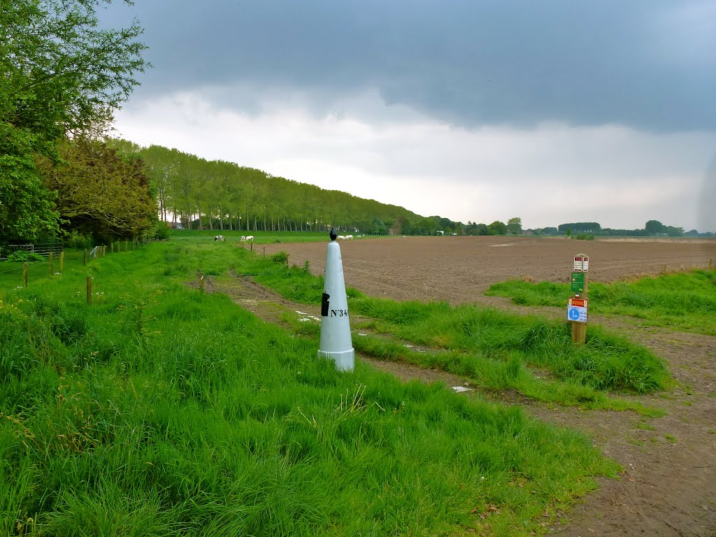 Natuurschoonwet